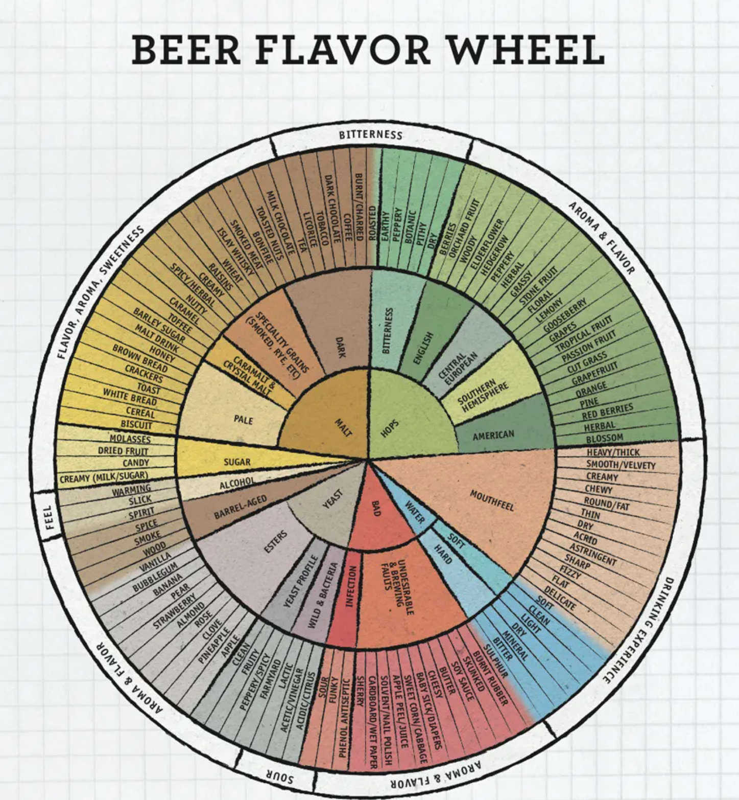 Tasting Beer Like the Pros
